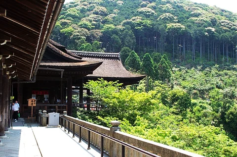 清水寺木造殿堂與山坡綠意的側面景色