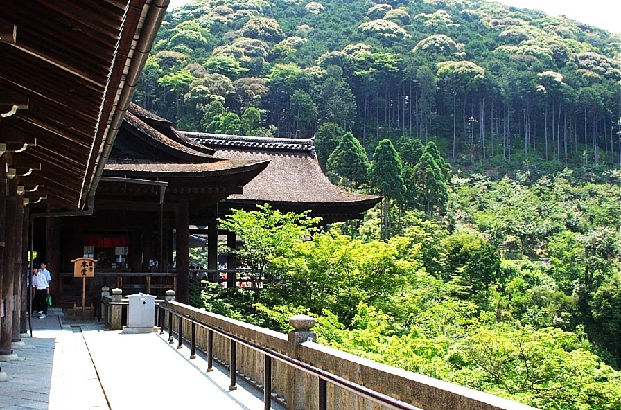 清水寺木造殿堂與山坡綠意的側面景色