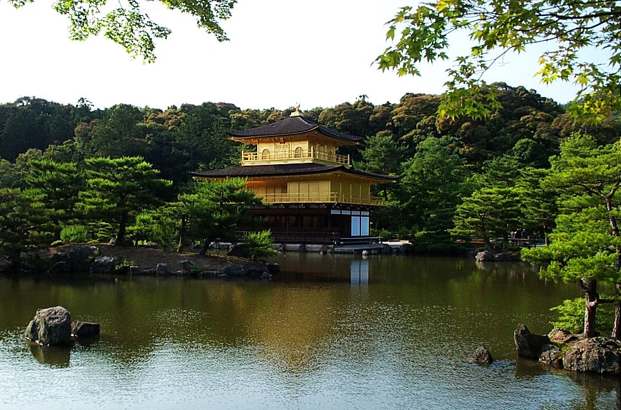 金閣寺隔著池水與樹林的經典景色