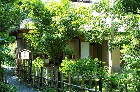 落柿舍茅草屋頂建築藏在綠葉之間