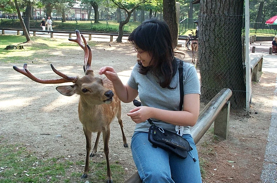 Chris 站在奈良公園，旁邊有鹿群活動