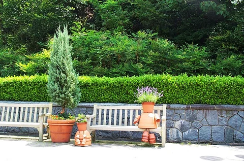 布引花園內的長椅、盆栽與綠籬。