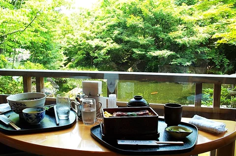 室內用餐區望向好古園庭園。