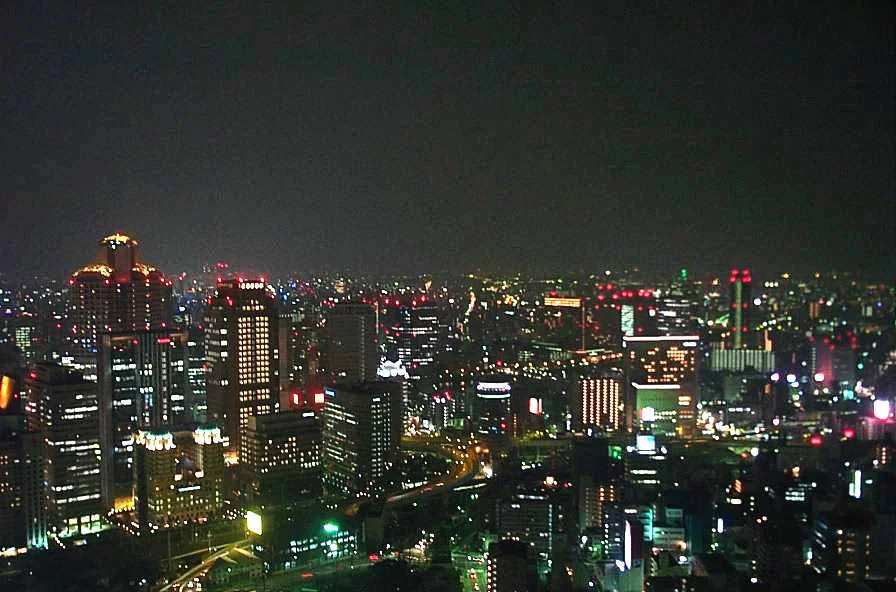從空中展望台拍攝的大阪夜景。