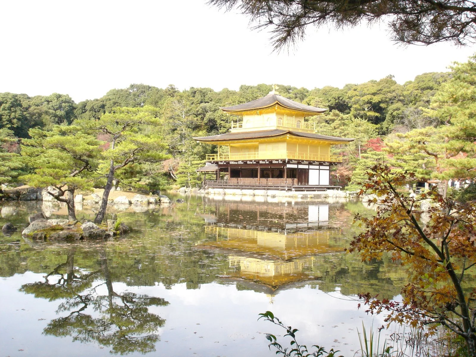 京都金閣寺與池中倒影,周圍有松樹與初秋色彩。