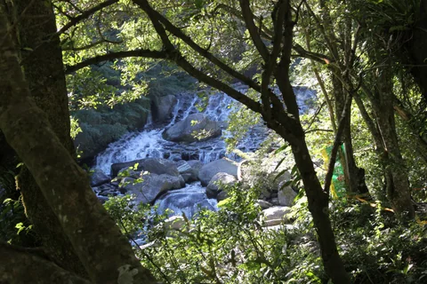 滿月圓溪谷旁的林蔭步道