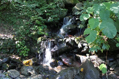 滿月圓山壁間的潺潺水流