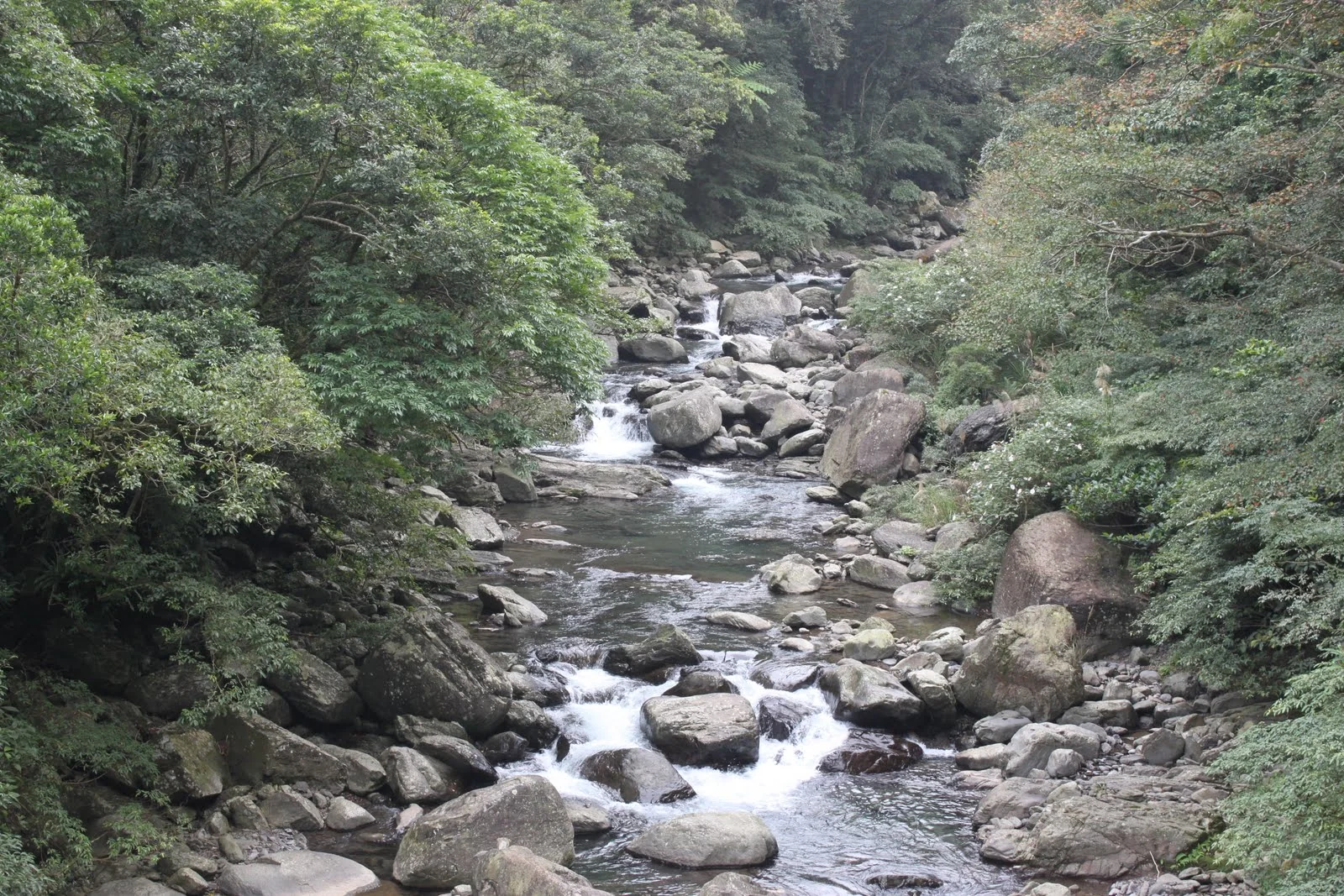 家人在滿月圓森林步道同行