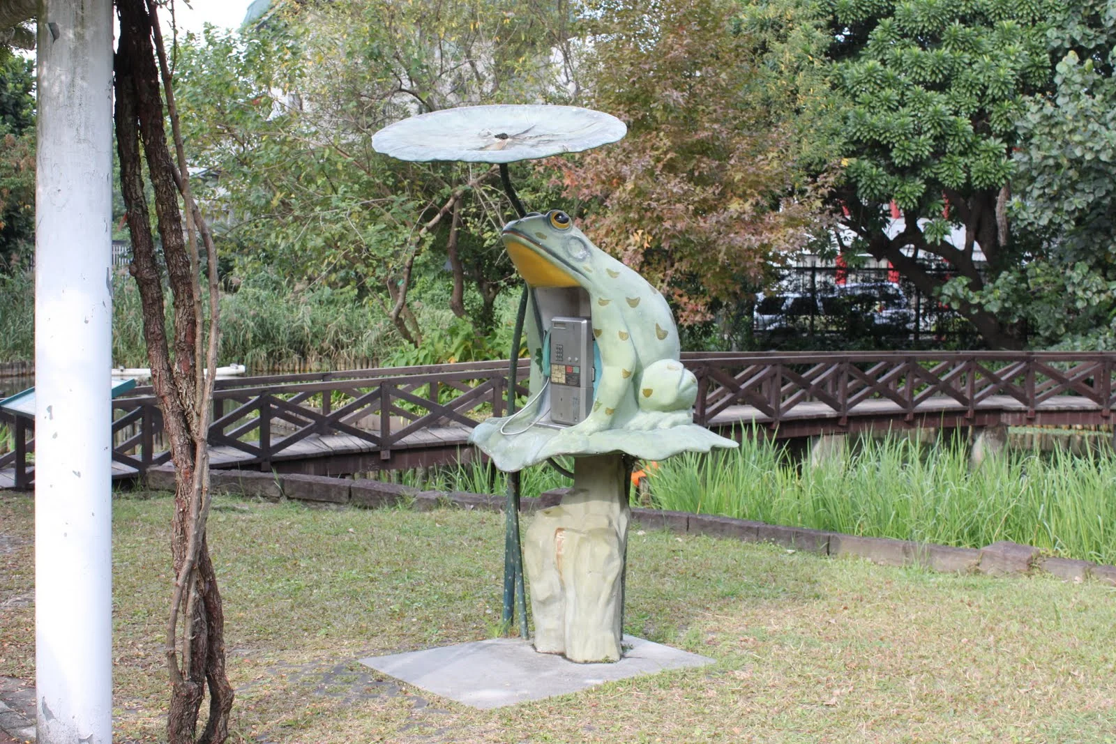 台北植物園裡的青蛙造形電話亭