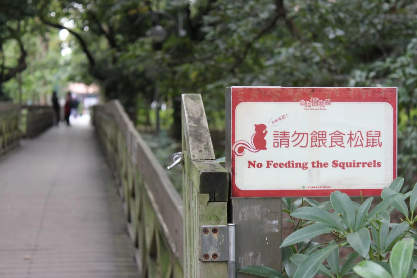 台北植物園內請勿餵食松鼠的告示牌