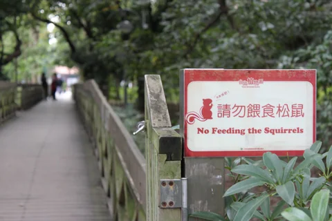 台北植物園內請勿餵食松鼠的告示牌