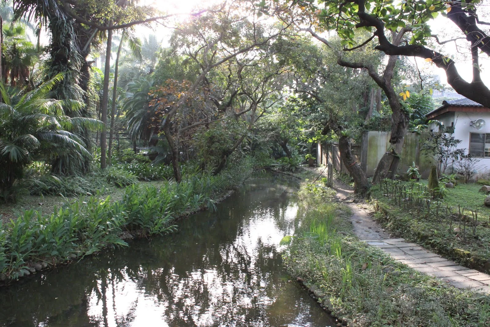 布政使司文物館旁的台北植物園庭園景觀