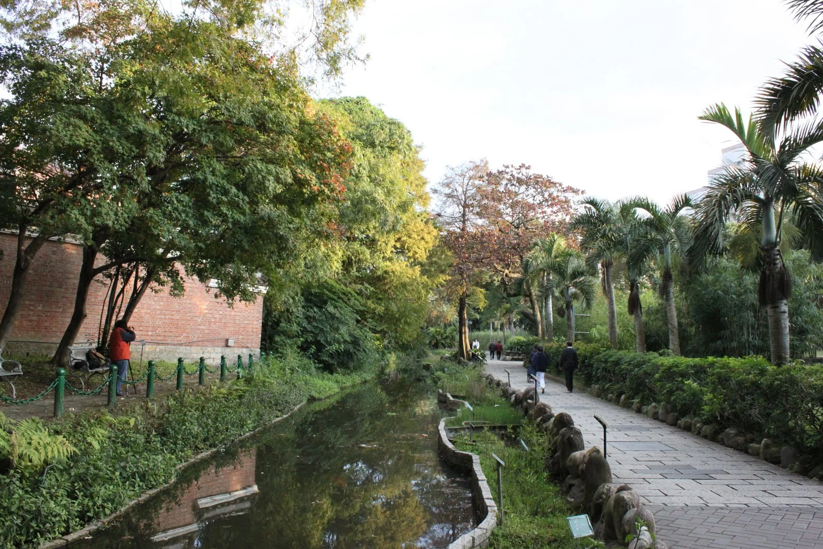 台北植物園冬季植栽與庭園景色