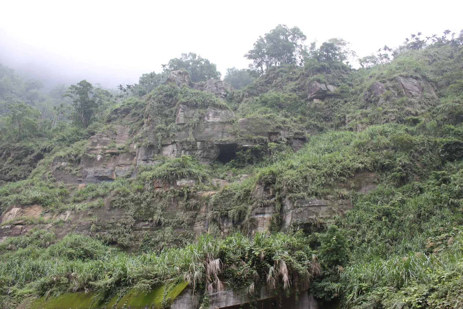 雲霧籠罩草嶺山區的景色