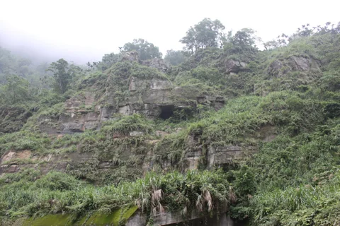 雲霧籠罩草嶺山區的景色