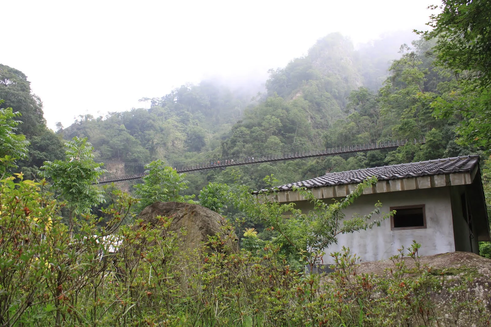 豐山山谷間的吊橋及周圍植被