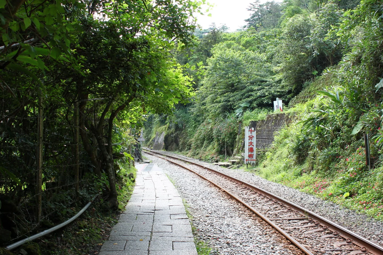 吊橋另一端通往十分瀑布的步道景色