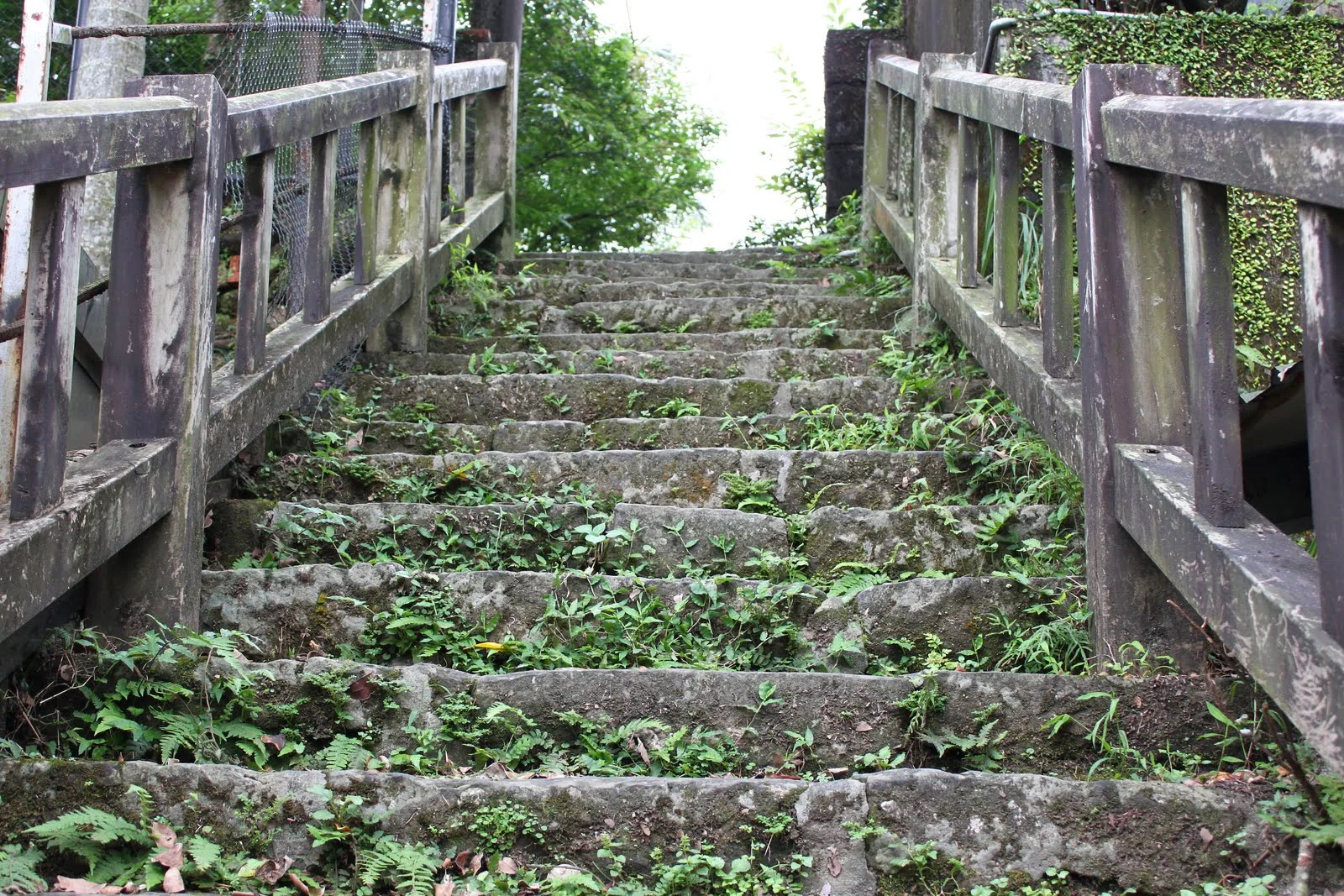 菁桐的北海道民宿建築外觀