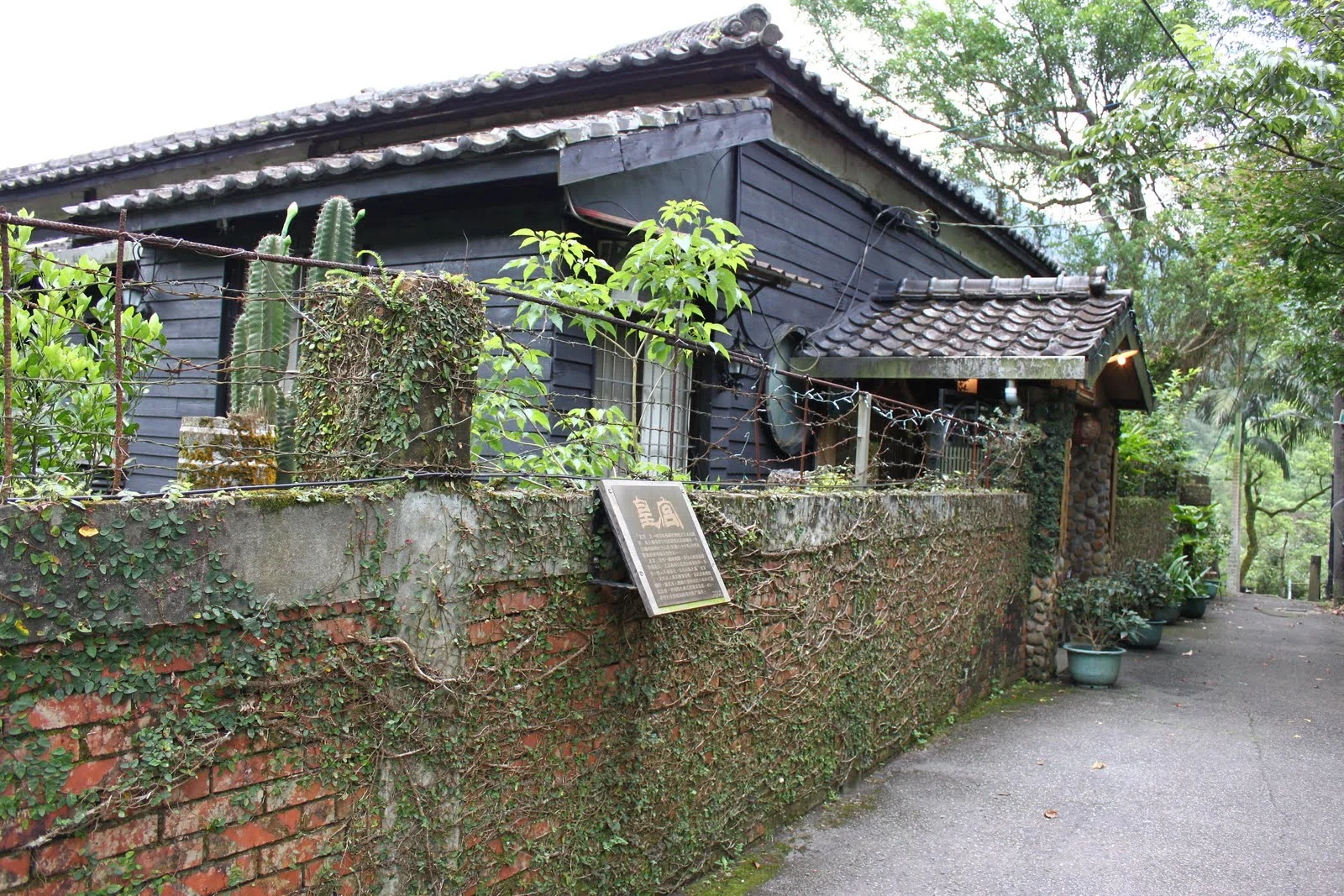 菁桐庭園餐廳外的景色
