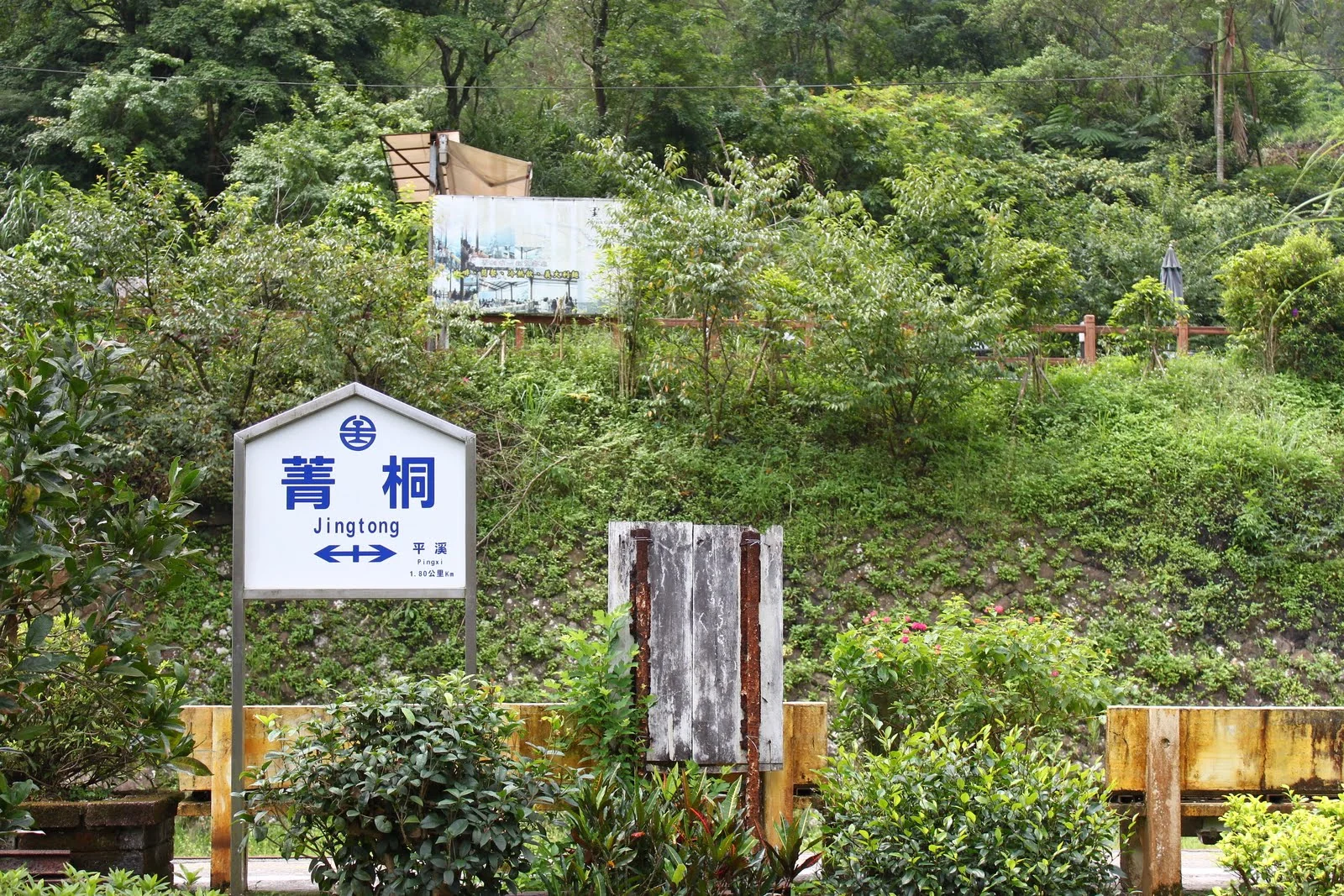 離開菁桐前拍攝的沿途景色