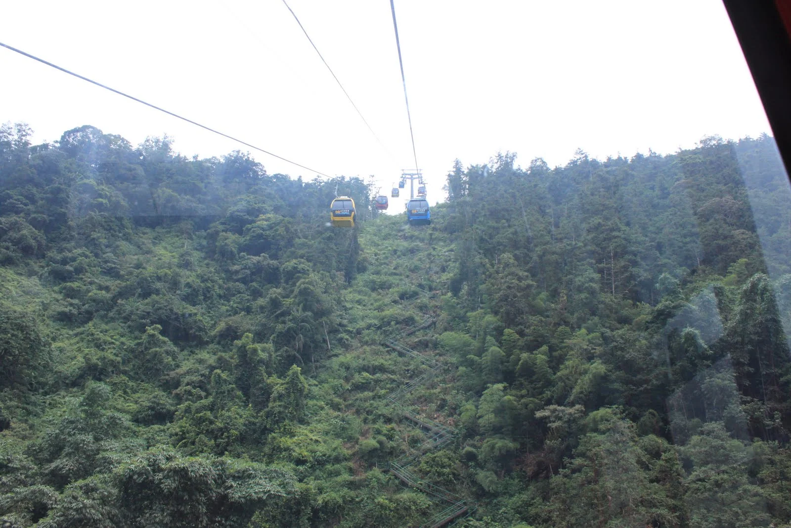 纜車下方山坡與疑似步道路徑
