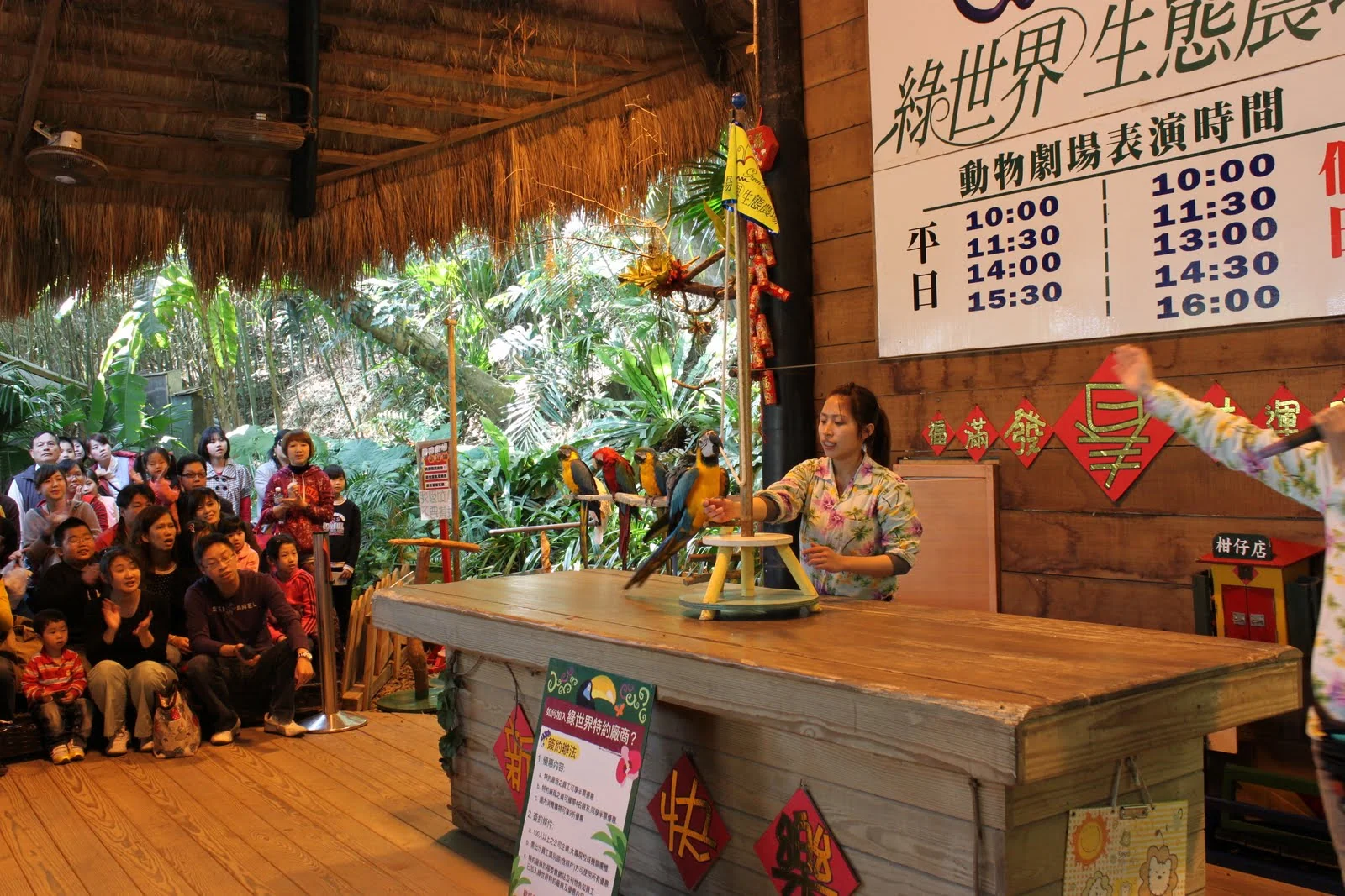 鸚鵡在動物劇場進行拼圖表演