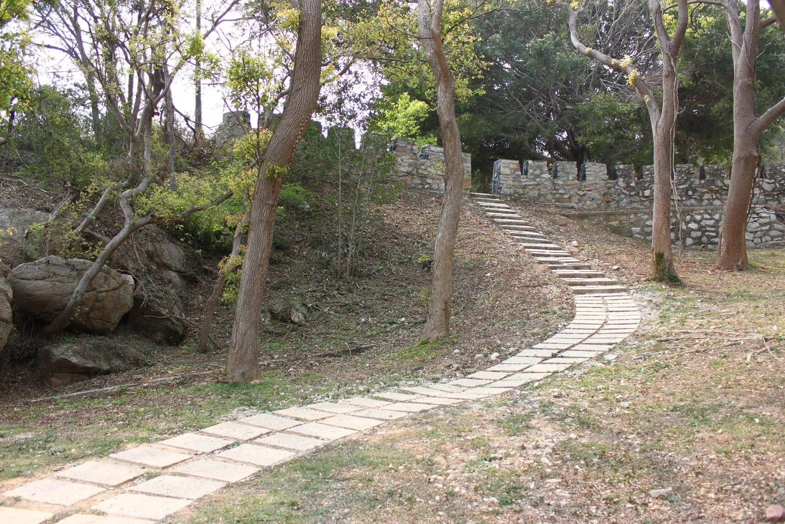 成功坑道入口路線與周邊環境
