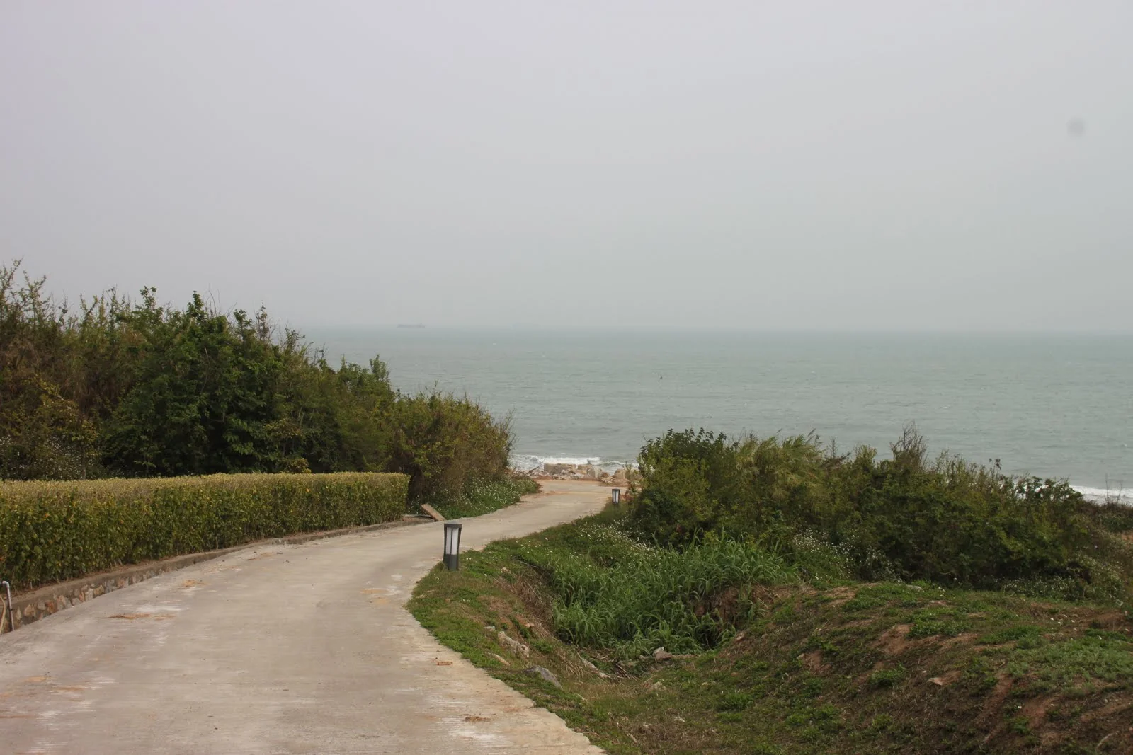 沿著坡道與海岸植被望向料羅灣海面