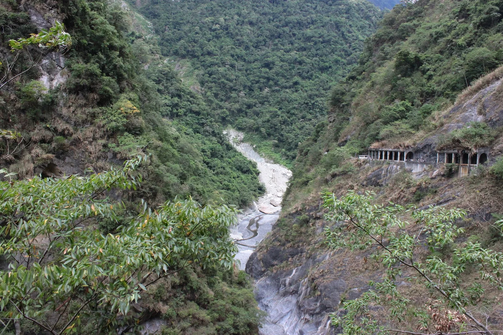 旅途中下車步行的慕谷慕魚山林道路
