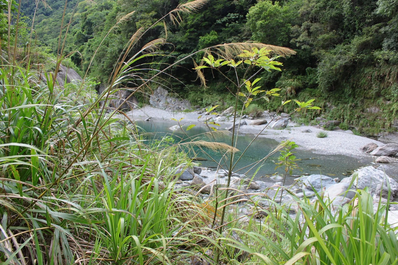 木瓜溪畔的溪谷、岩岸與周圍山景