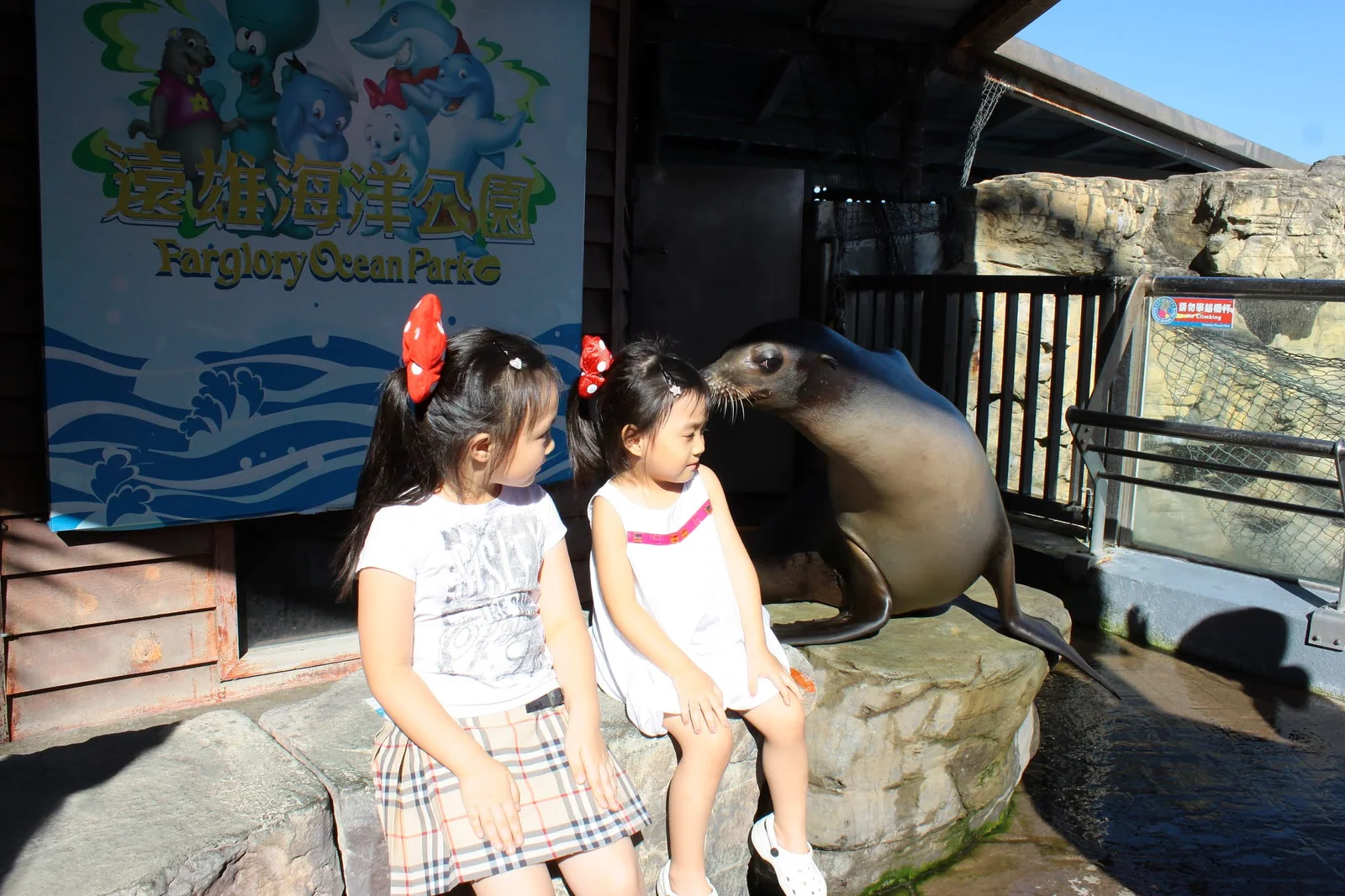 一家人在海洋公園與海獅合照