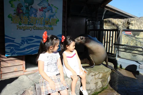 一家人在海洋公園與海獅合照