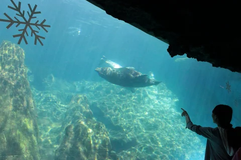 一家人進入海洋公園探險島館內
