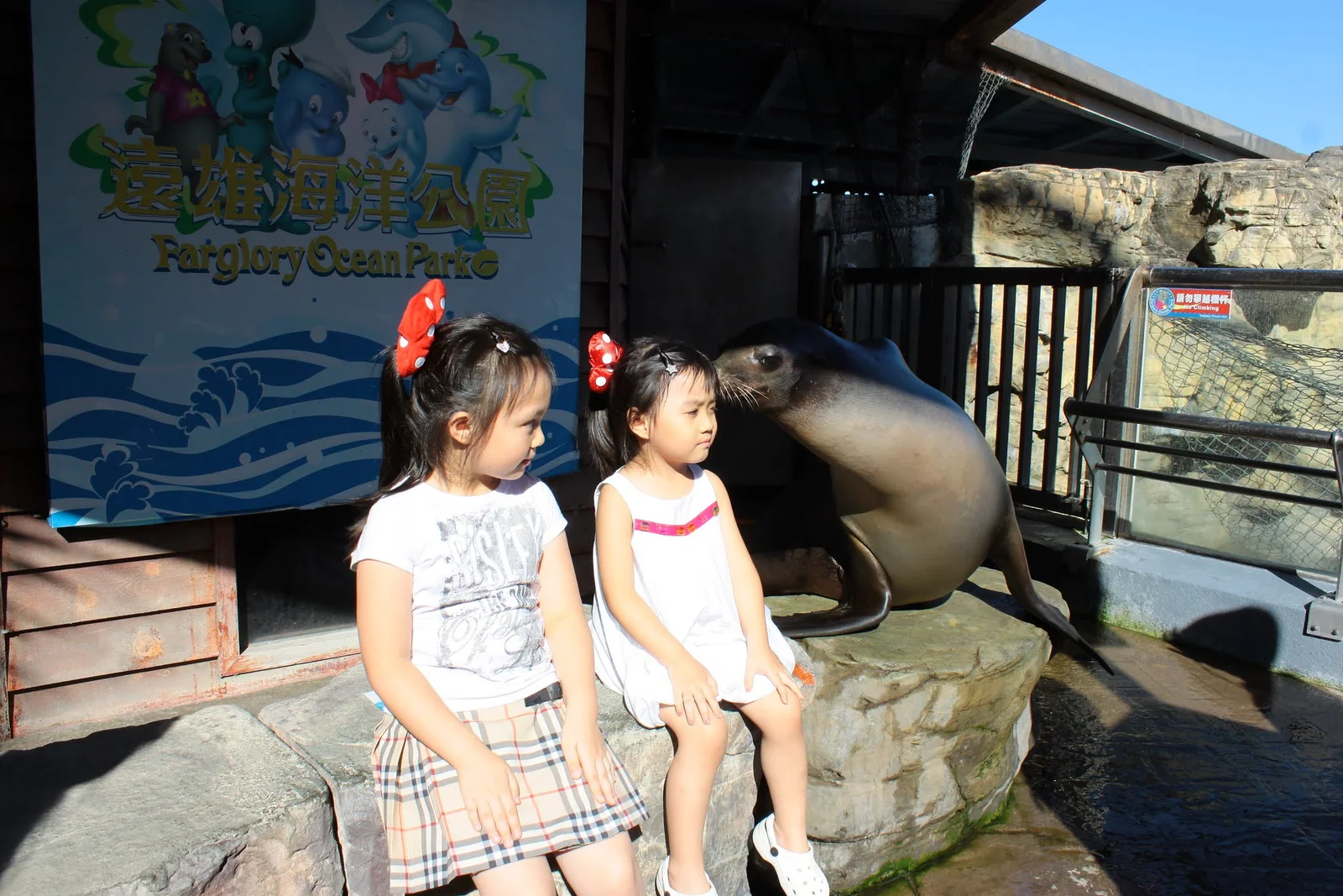 遊客在海洋公園與海獅近距離合照
