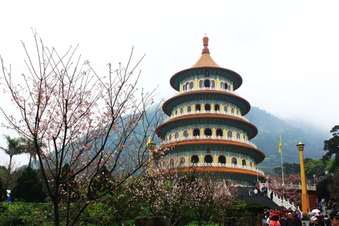 天元宮塔周圍的櫻花與園區景色