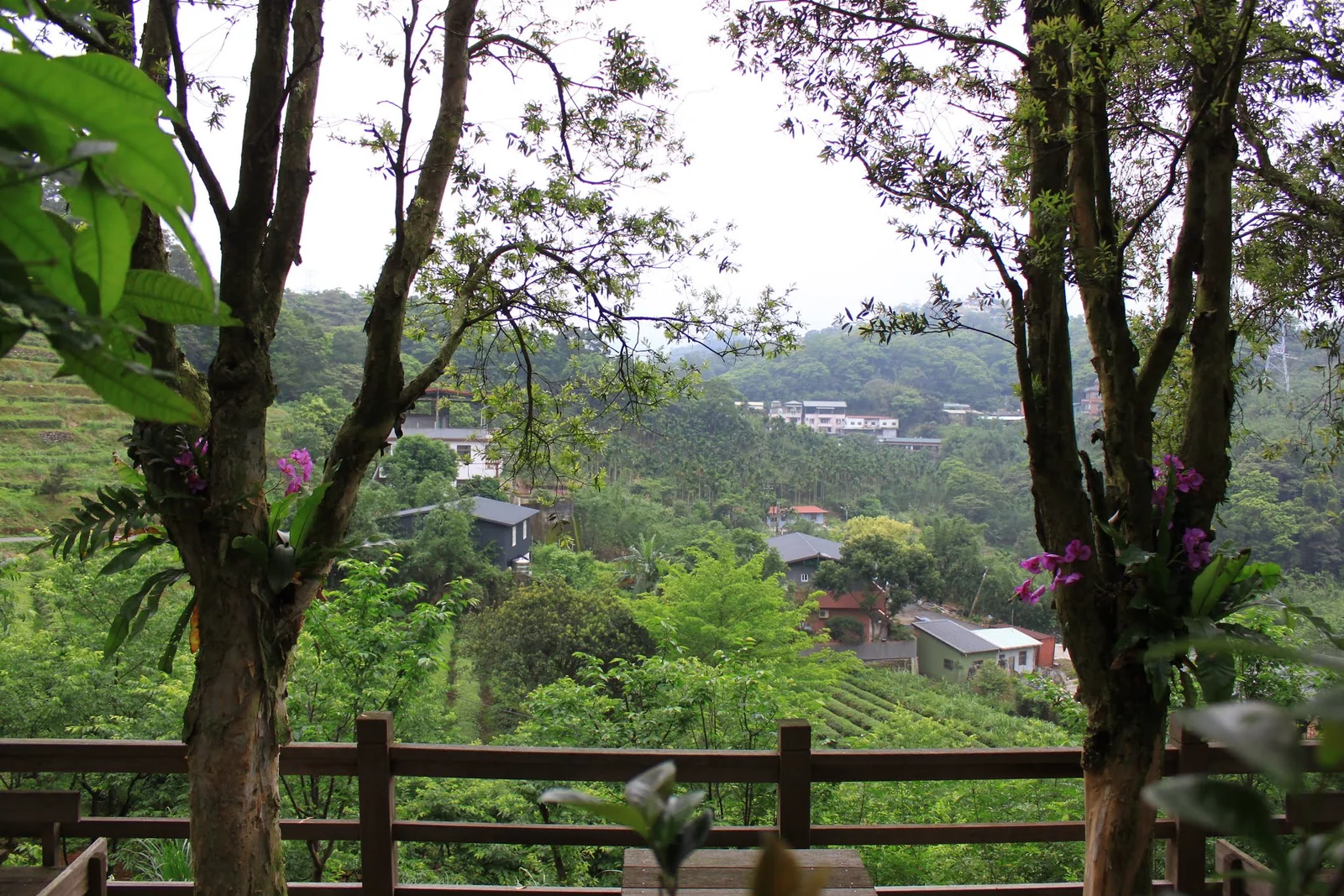 文山農場休息時間所見的戶外景色