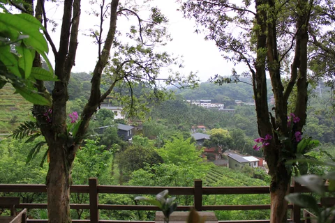 文山農場休息時間所見的戶外景色
