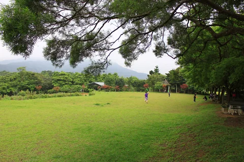 文山農場吊橋對面的大片草地