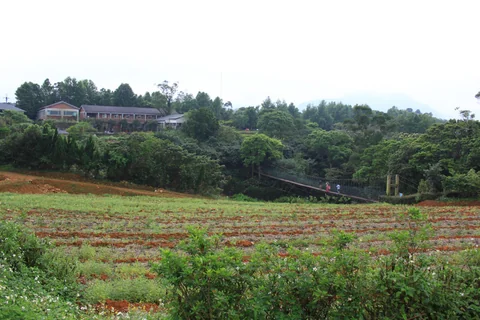文山農場大草坪附近的戶外景觀