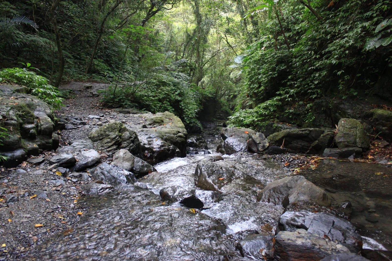孩子們在林美石磐步道溪谷玩水