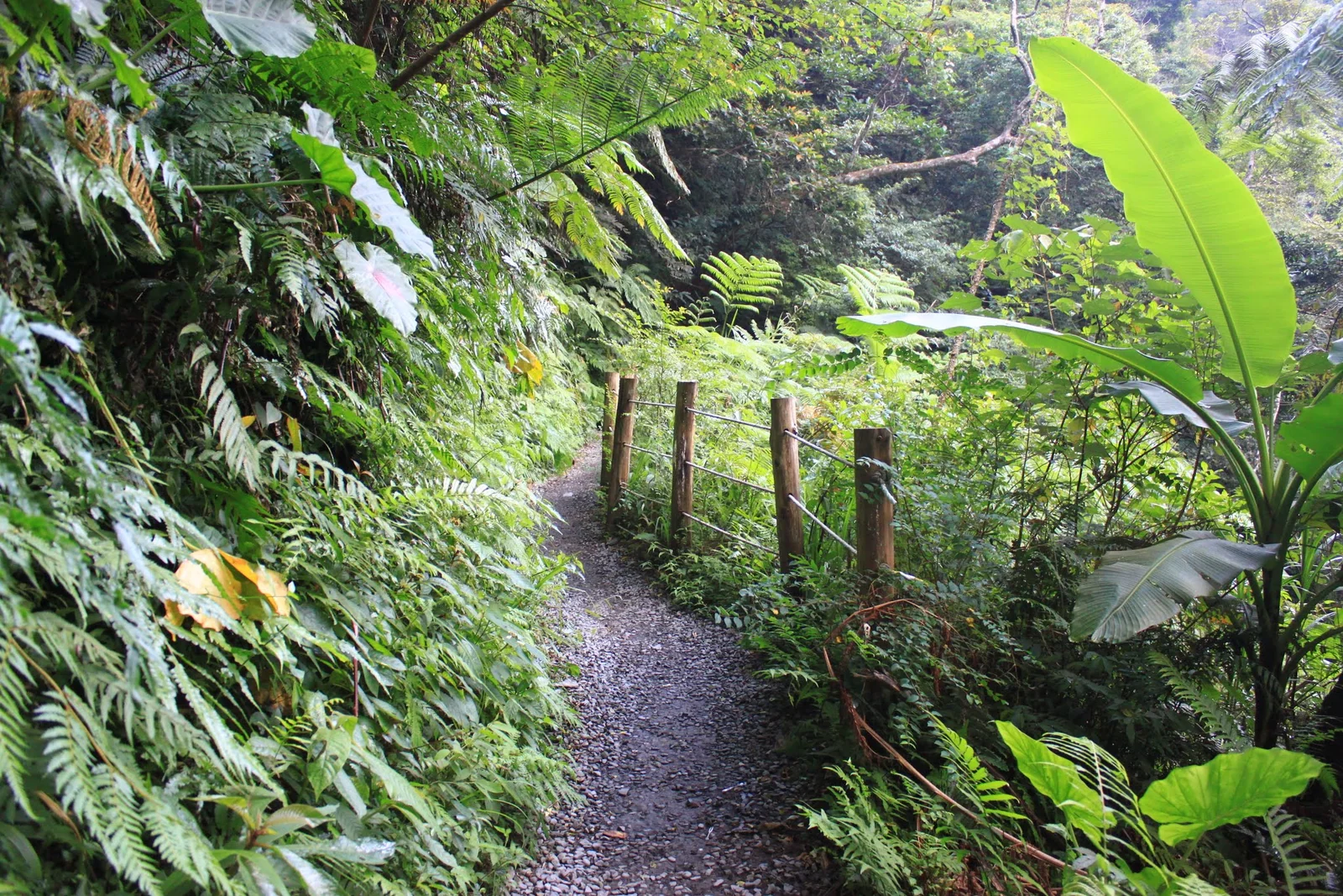 林美石磐步道返回山邊的路段