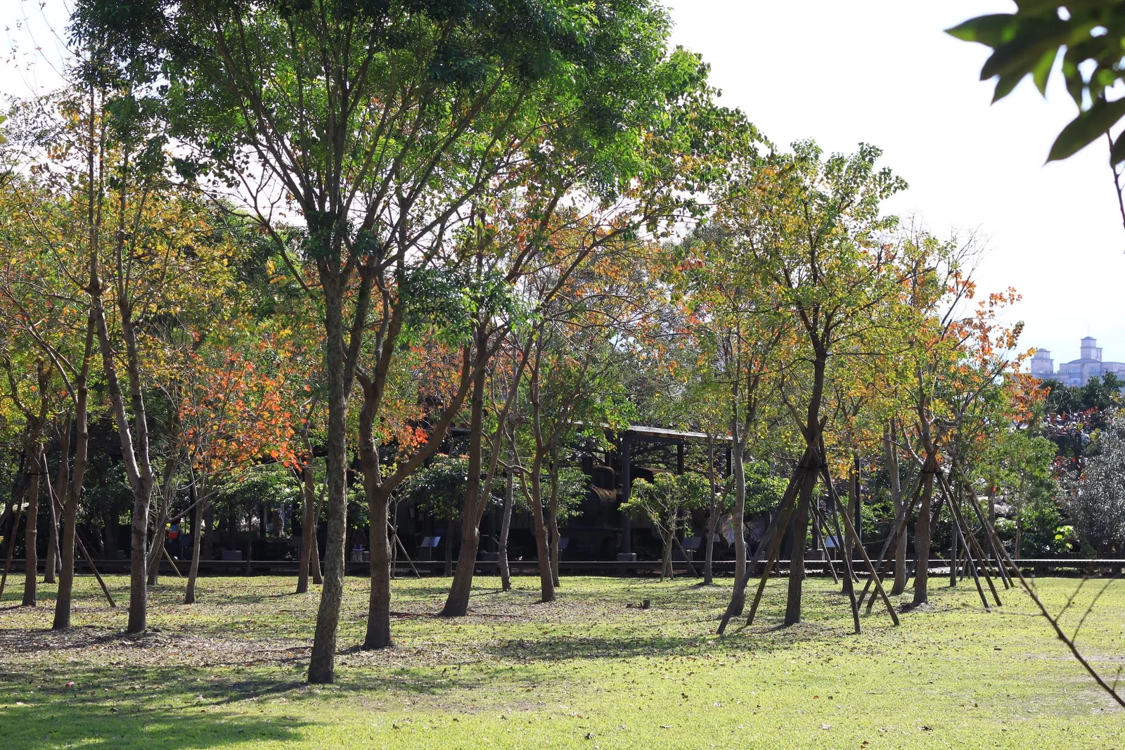 羅東運動公園園景