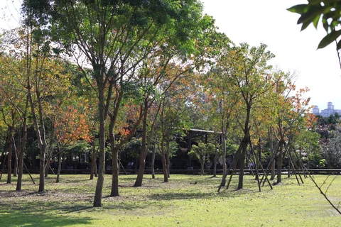 羅東運動公園園景