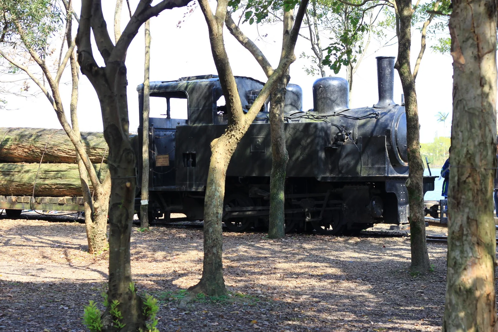 園內展示的蒸汽火車