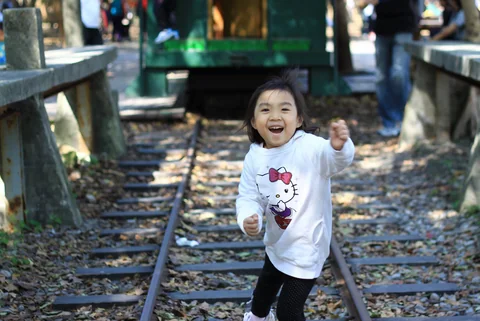 改作休憩空間的舊火車車廂