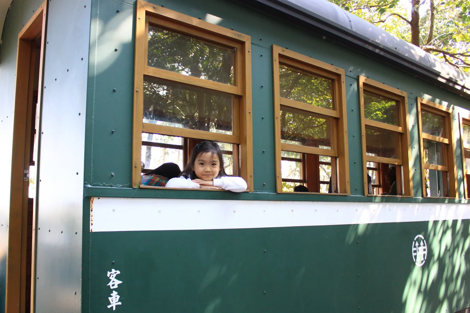 羅東運動公園的樹林步道景色