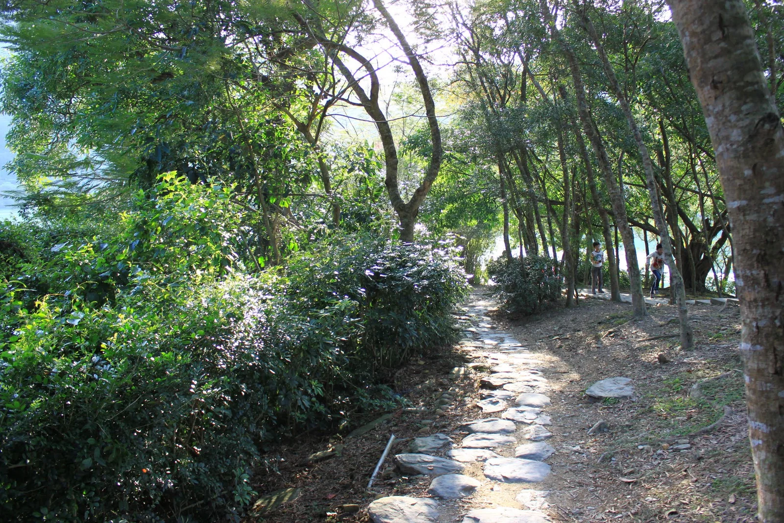 從鳳凰島望見的梅花湖景色