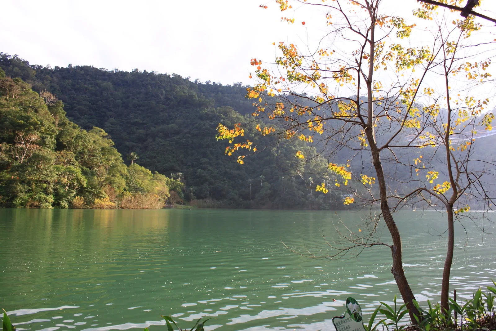 鳳凰島附近的梅花湖與遠山