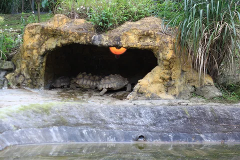前往木柵動物園途中所見