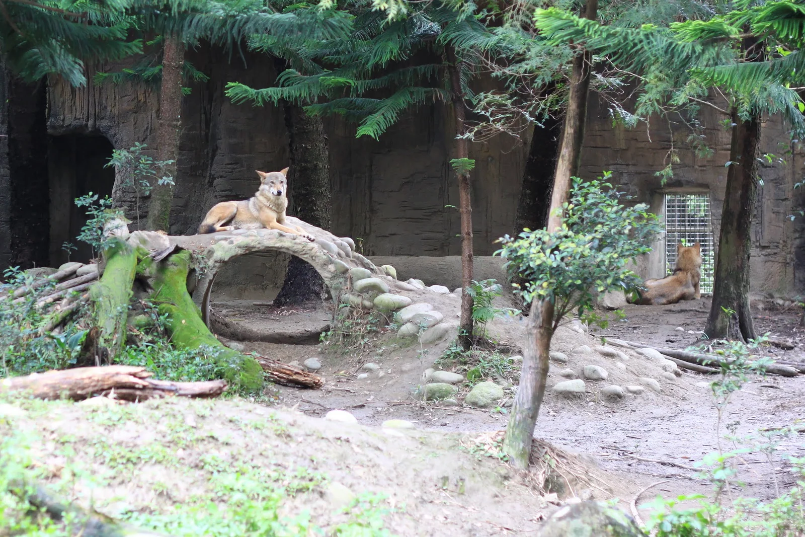 木柵動物園下山遊園路線上的動物展區